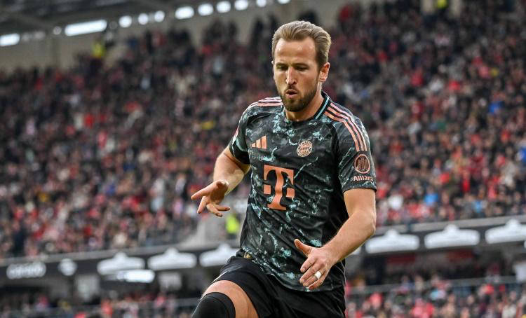 球市场早已 球市场早已